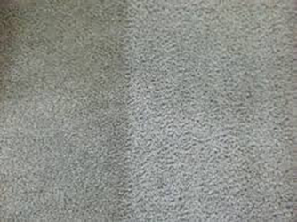 Pristine Carpet and Upholstery Cleaning - Sydney, Central Coast and Newcastle - Thumbnail