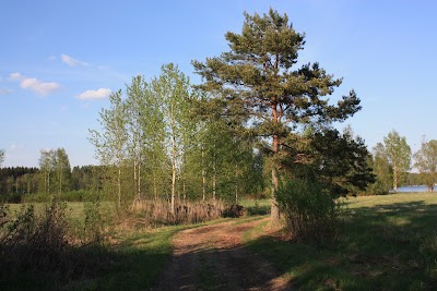 Photos of Cottage Baydar