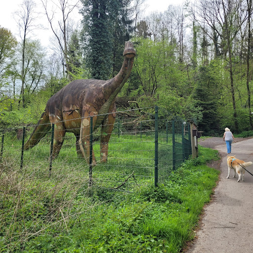 Parkplatz an den Saurierfährten Barkhausen