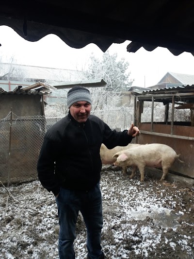 Photos of Kafe Bar Moldova