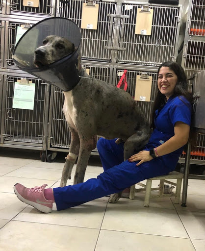 Meds for Pets