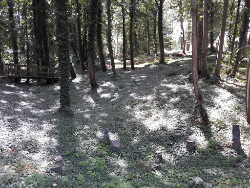 Bois de Wallieux - Thumbnail