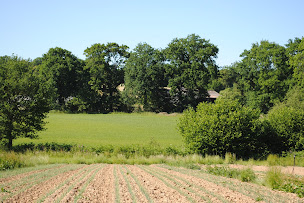 Photo n°8 de Le Potager de Gahard à Gahard (Ferme bio)