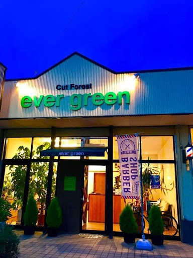 Cut Forest evergreen