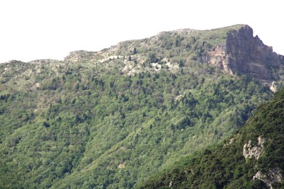 Shën Kolli Church