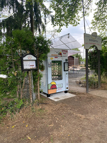 Frohnibär Eisautomat | MCG Maletengarde
