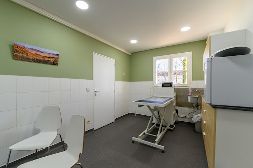 Veterinary clinic Leroux and Dr. Lacaze - Thumbnail
