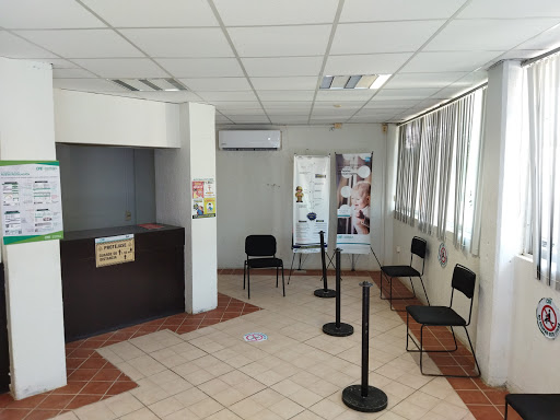 CFE CANDELARIA - Visual