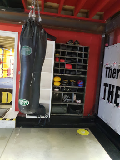 Dynamo Boxing - Visual