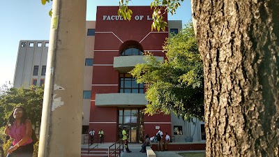 university