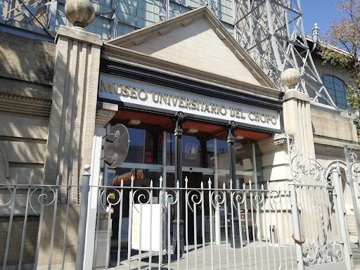 Museo Universitario del Chopo - Thumbnail