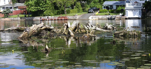 Floating Island Gallery - United States