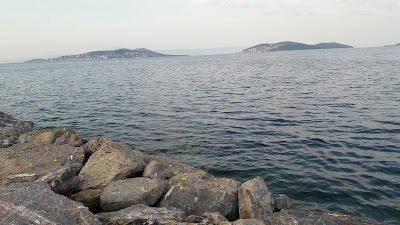 Deniz Park