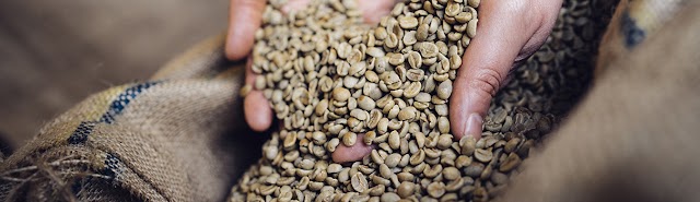 Fiorilli Caffé
