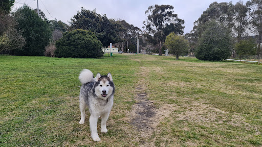Lithgow Dog Park and Recreation Area - Thumbnail