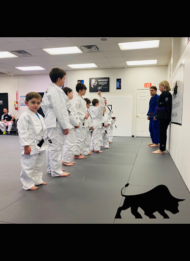 AllAmbition Brazilian Jiu Jitsu - Thumbnail