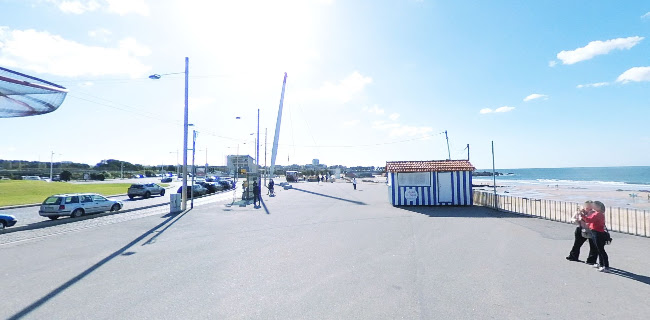 Anémona - Matosinhos