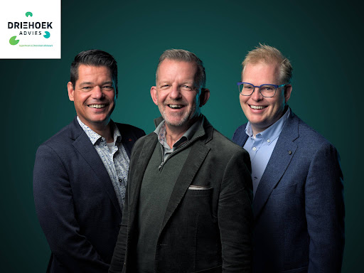 Driehoek Advies | Hypotheekadvies | Financieel Advies | Apeldoorn, Deventer en Zutphen Logo