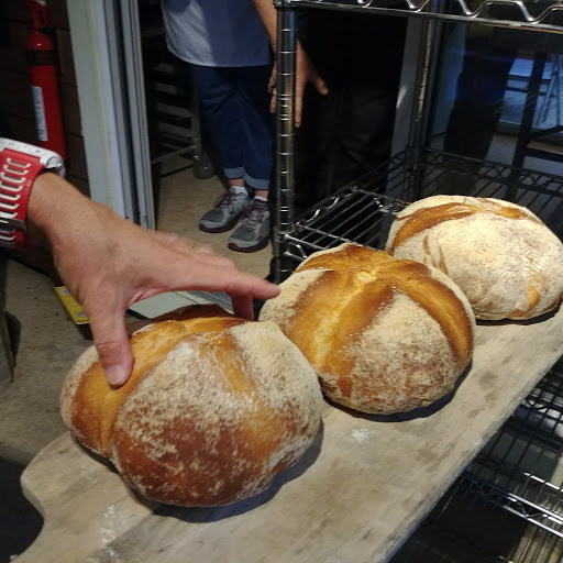 Breadhitz Inc - Visual