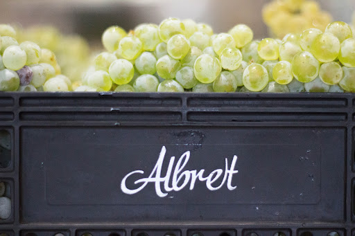 Bodegas Finca Albret - Thumbnail
