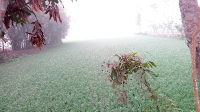 Photos of BARISHABO BAZAR