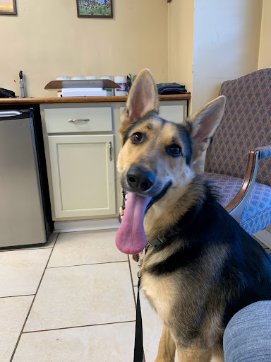 Snowden Grove Animal Hospital - Thumbnail