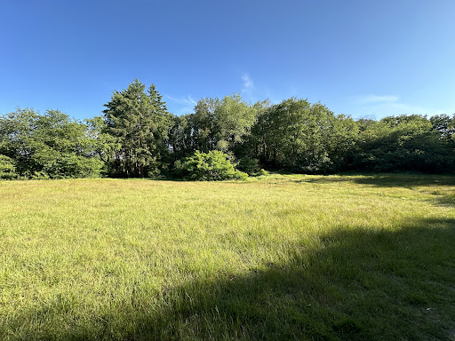 Goois Natuurreservaat Sijsjesberg - Thumbnail
