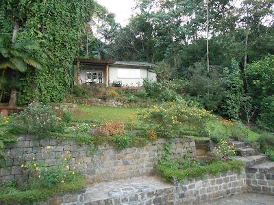 Photos of Arbour Villa