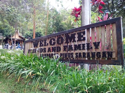 Photos of Pinus kampoeng Sarangan