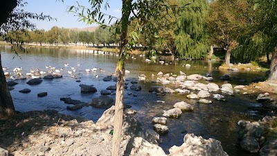 Photos of Sultansazligi National Park