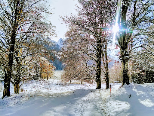 Koenig Max Weg - Thumbnail
