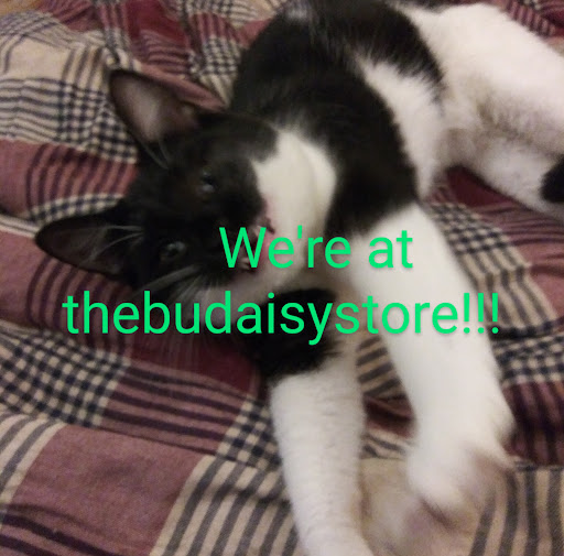 thebudaisystore.com - Visual
