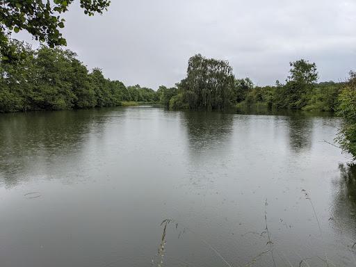 Lambs Pool - Visual
