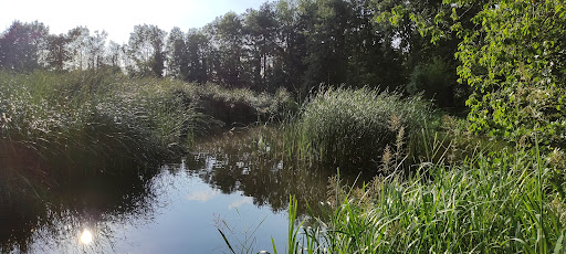 Farington Park - Thumbnail