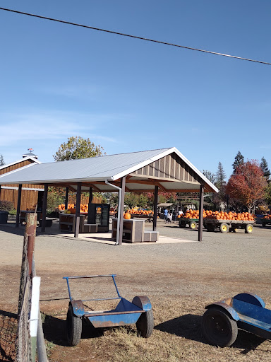 Bishop's Pumpkin Farm Gallery - United States