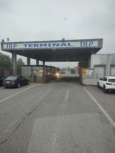 T.R.P.Container - Visual