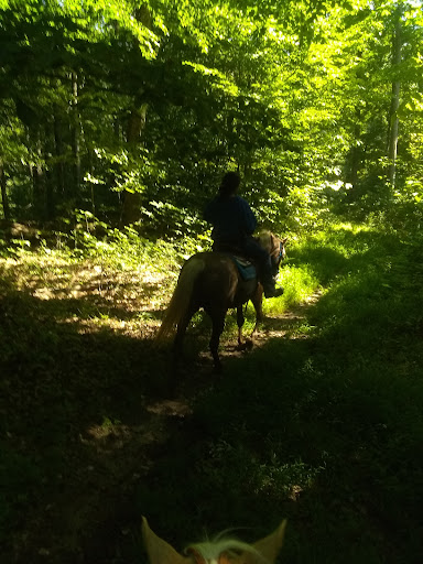 Owen-Putnam State Forest Mountain Bike Trailhead - Thumbnail