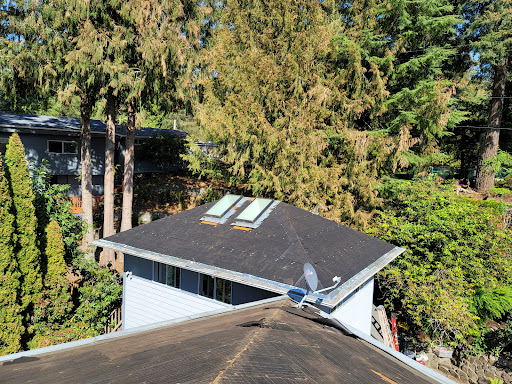 Prohome Roofers - Thumbnail
