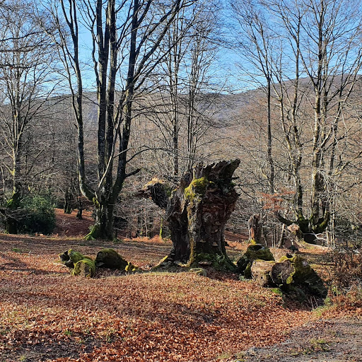 Cima Siskina - Visual