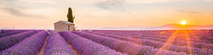 Photo n°1 de Best Of Provence Tours à Volonne (Agence de voyages)