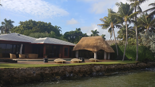 Thatching - Visual