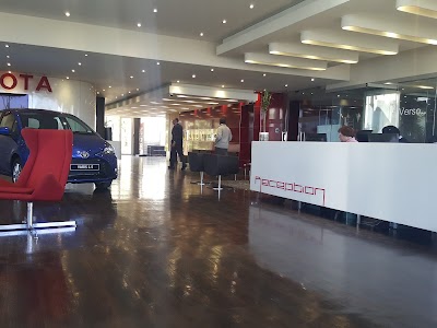 car-dealer