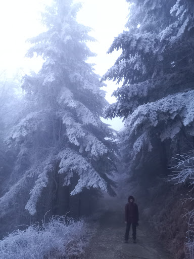 Parcheggio rifugio I Diacci e Cannova - Thumbnail