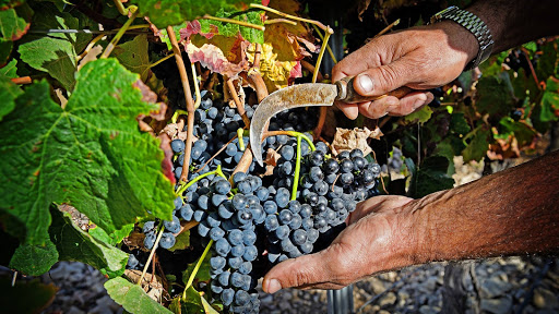 Bodega Inurrieta