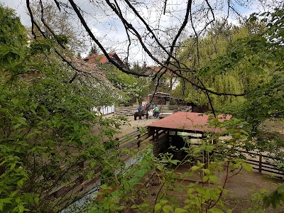 Photos of Eisenberger Tiergarten