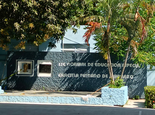 ESCUELA NORMAL DE EDUCACION ESPECIAL "GRACIELA PINTADO DE MADRAZO"