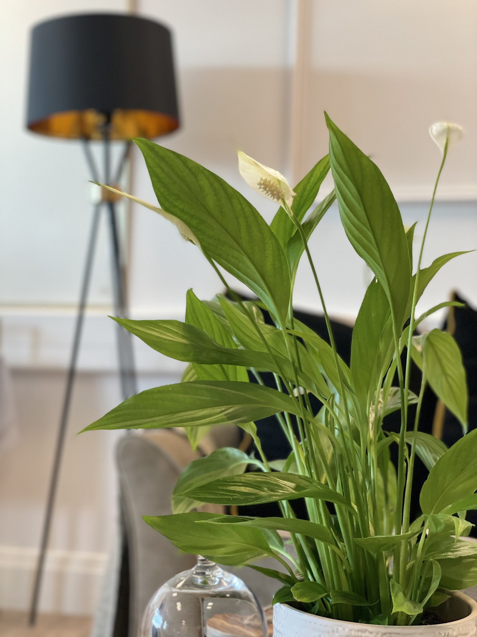 FOUNDATIONS by Hawa - Mehndi Artists - photo 1