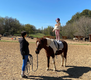 Photo n°17 de Les ecuries du mistral à La Bastide-des-Jourdans (Centre équestre)