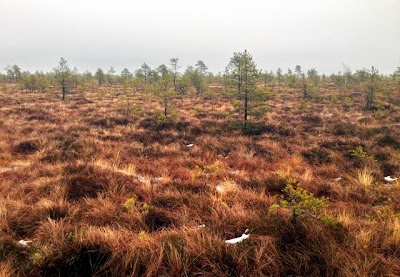 Photos of Kadja j&auml;rve matkarada
