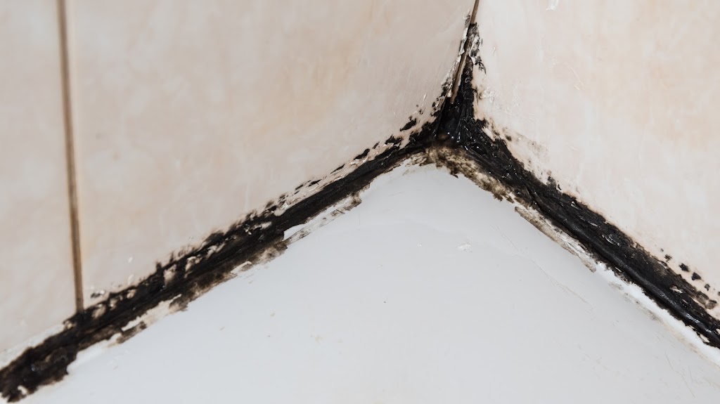 Texan Water Damage Restoration Houston TX Company photo